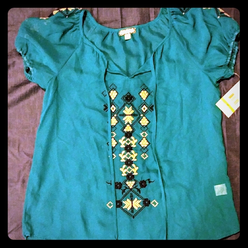 Wishful Park sheer blouse